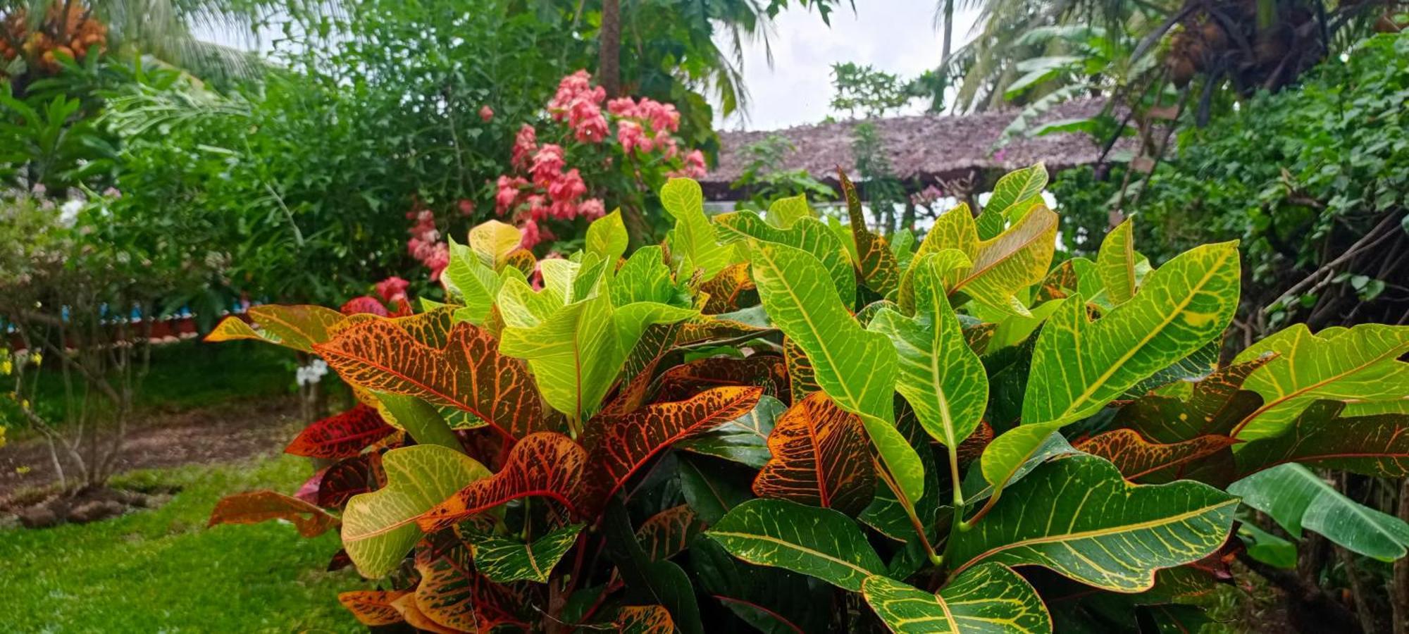 Hotel Piscine Bimoko Nosy-Be Exterior foto