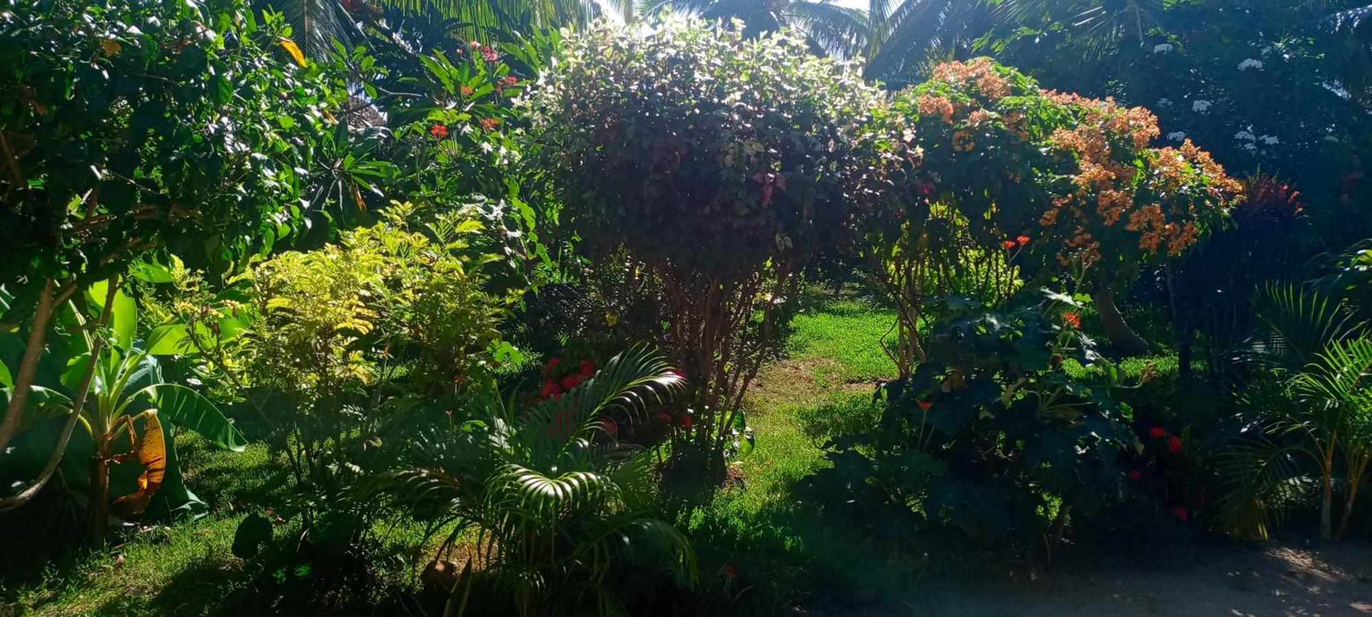 Hotel Piscine Bimoko Nosy-Be Exterior foto